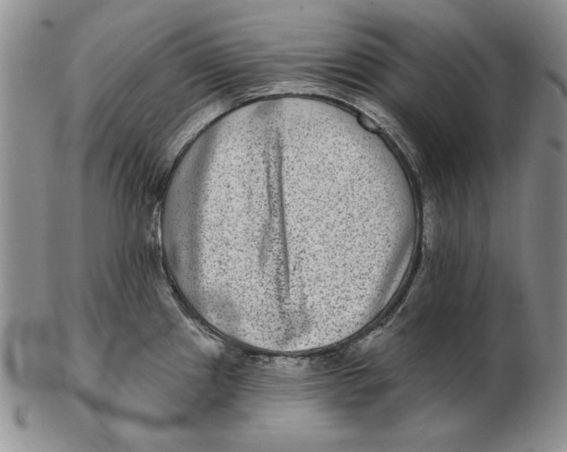 X0000102361241200808221708