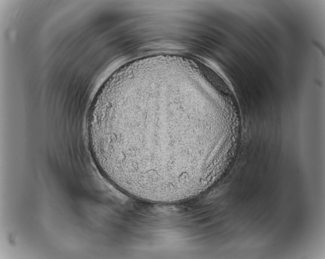 X0000102361243200808221708