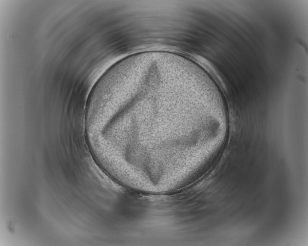 X0000102361244200808221708