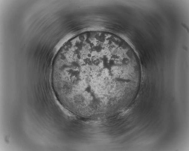 X0000102361245200808221708