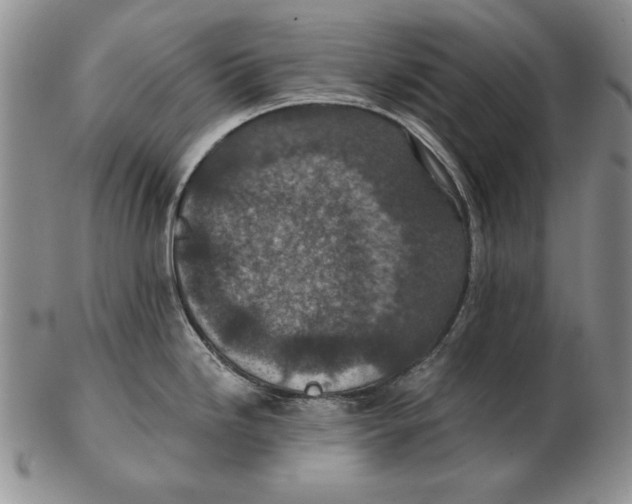 X0000102361246200808221709