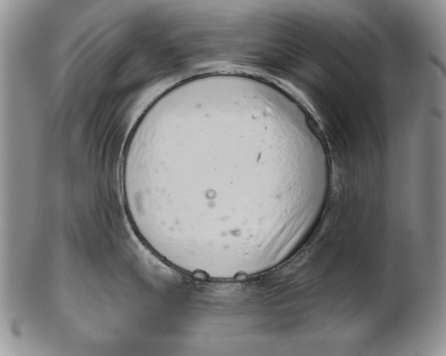 X0000102361247200808221709