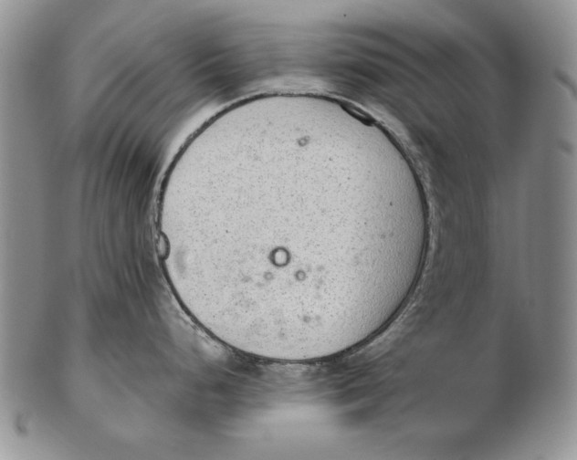 X0000102361248200808221709