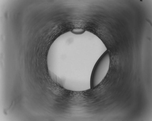 X0000102361249200808221708