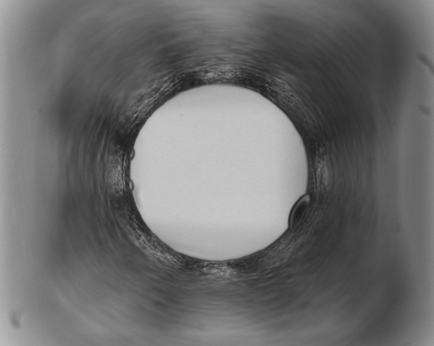 X0000102361250200808221708