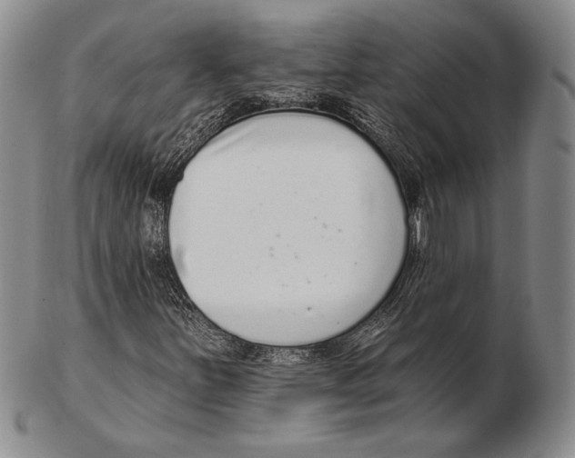 X0000102361251200808221708