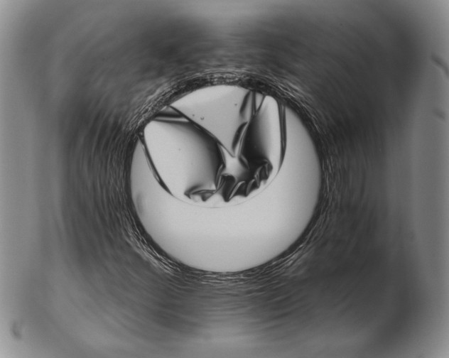 X0000102361252200808221708