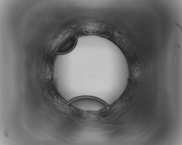 X0000102361253200808221708