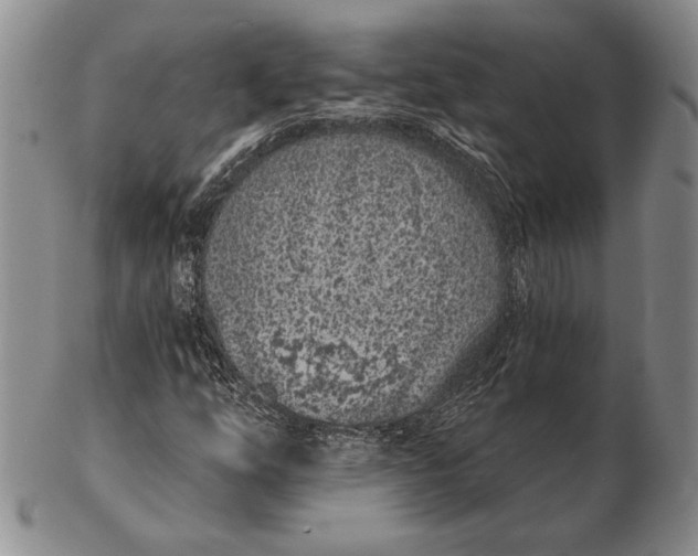 X0000102361254200808221708