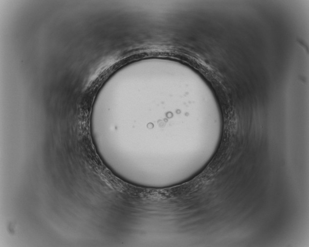 X0000102361255200808221708