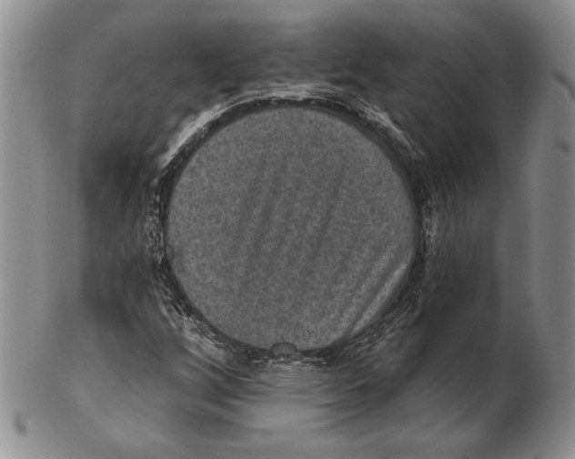 X0000102361256200808221708