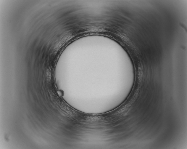 X0000102361257200808221708