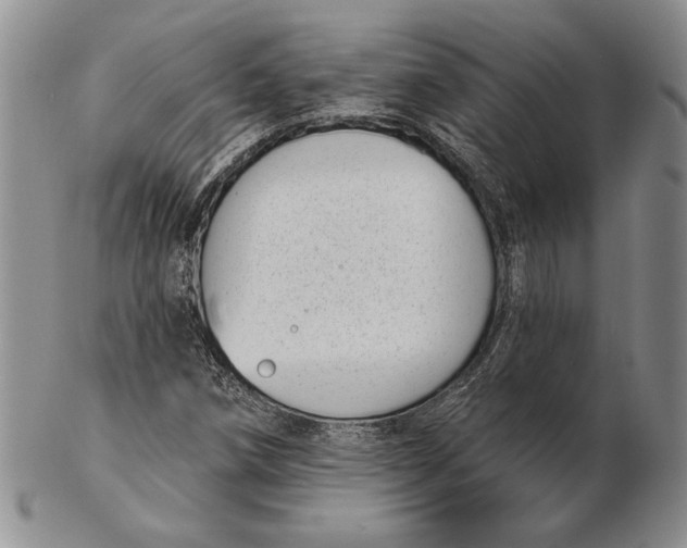 X0000102361258200808221708