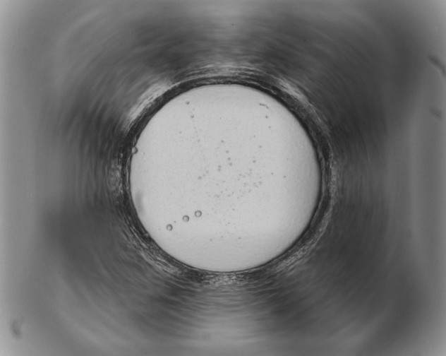 X0000102361259200808221708