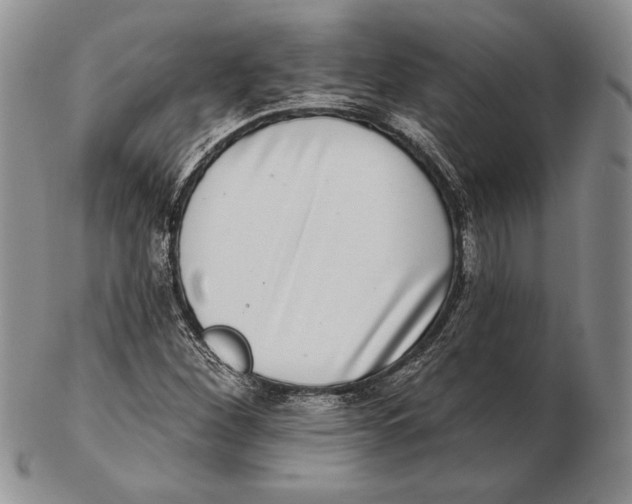 X0000102361260200808221708