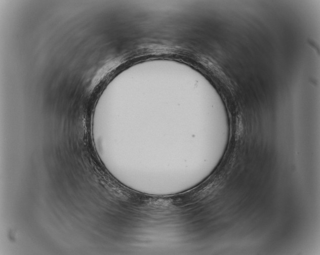 X0000102361261200808221708