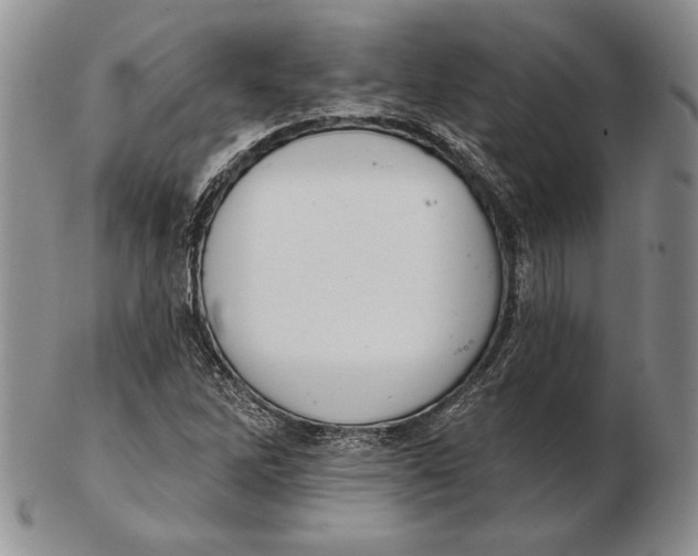 X0000102361262200808221708