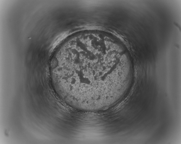 X0000102361263200808221708