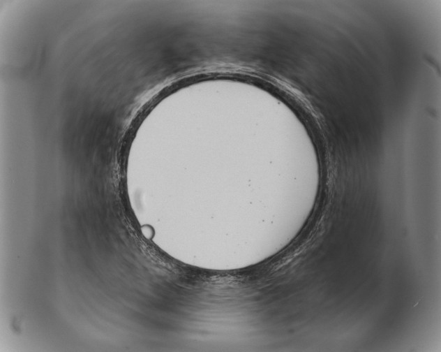 X0000102361264200808221708