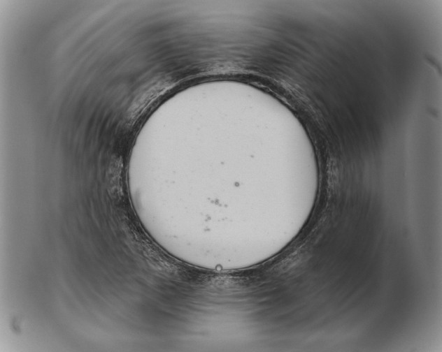 X0000102361265200808221708