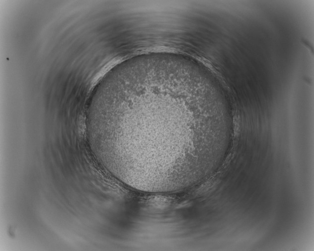 X0000102361266200808221708