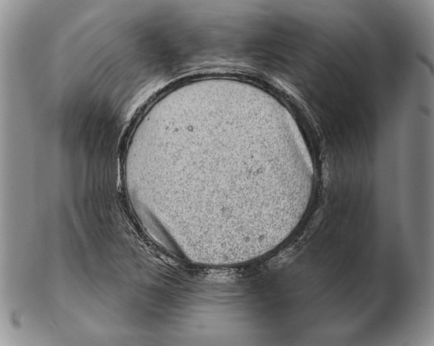 X0000102361267200808221708