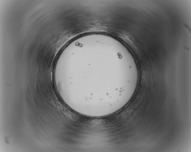 X0000102361268200808221708