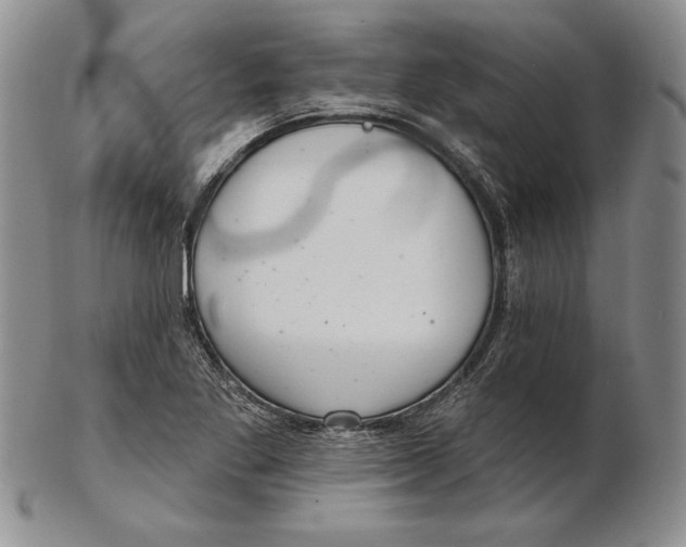 X0000102361269200808221708