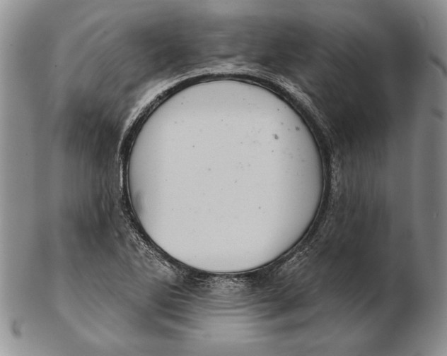 X0000102361270200808221708