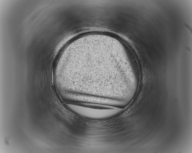 X0000102361271200808221708