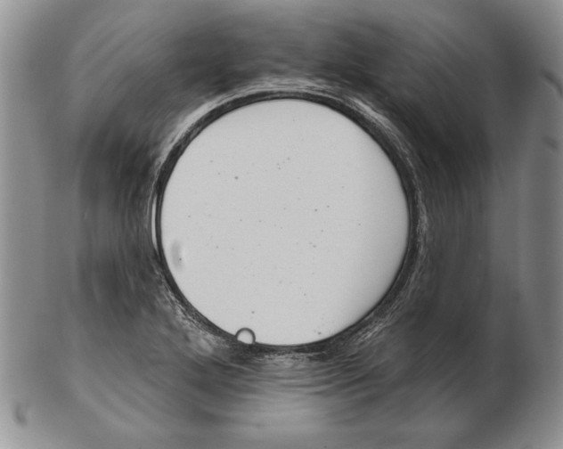 X0000102361272200808221708