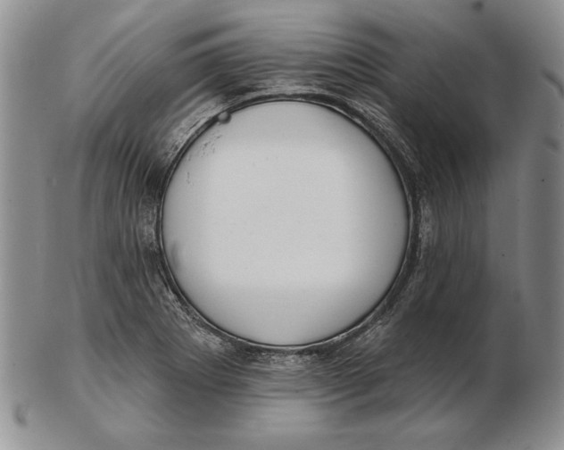 X0000102361273200808221708