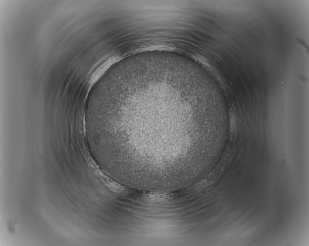 X0000102361274200808221708