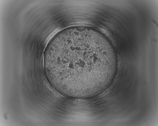 X0000102361275200808221708