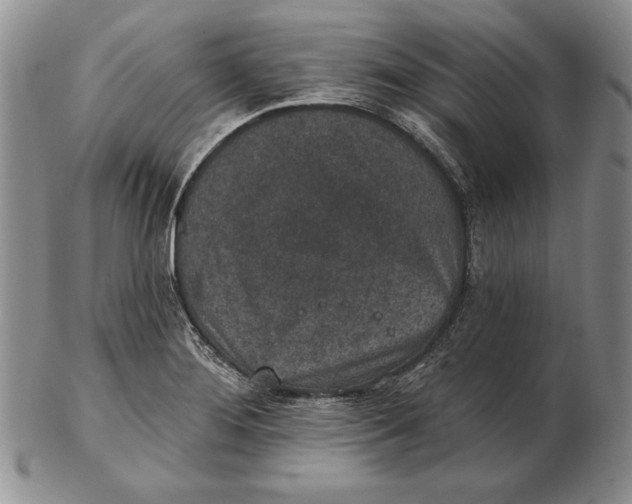 X0000102361276200808221708