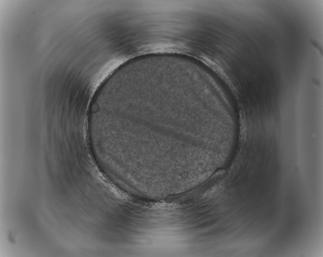 X0000102361277200808221707