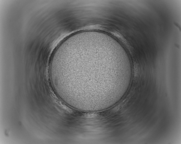 X0000102361278200808221707