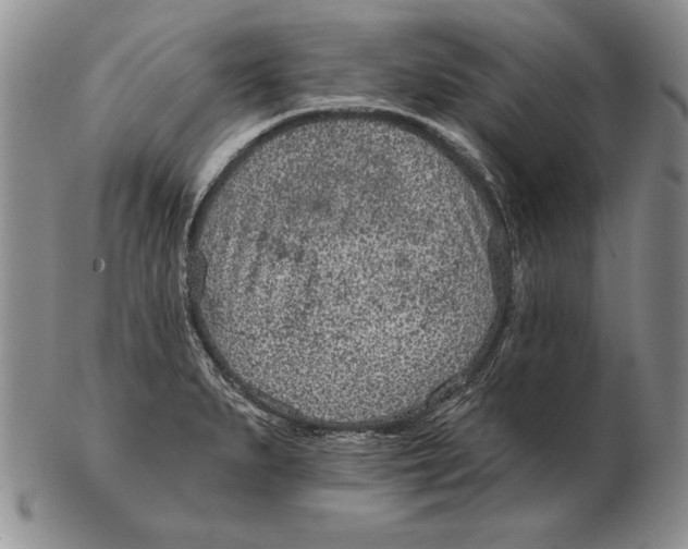 X0000102361279200808221707