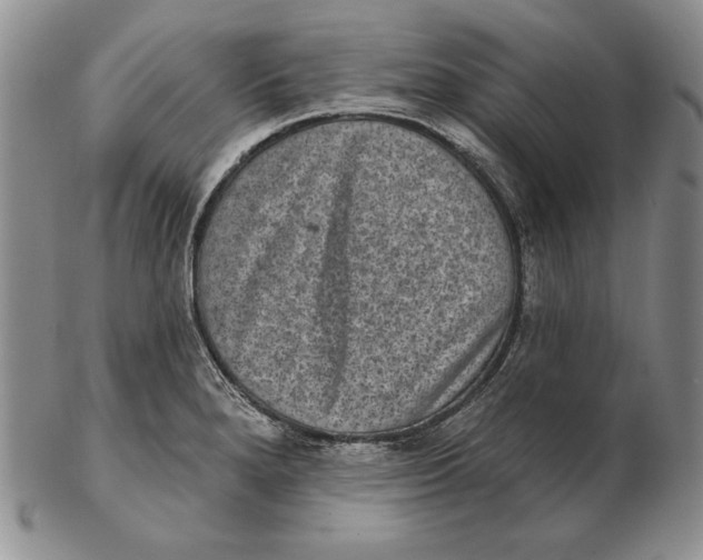 X0000102361280200808221707