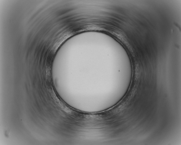 X0000102361281200808221707