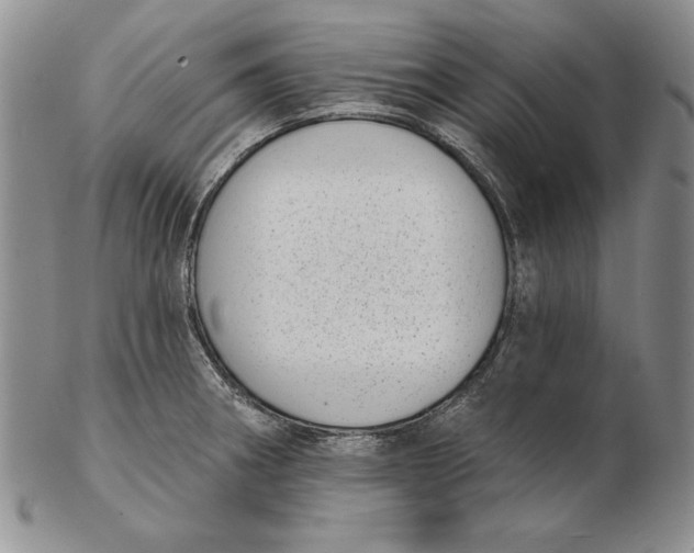 X0000102361282200808221707