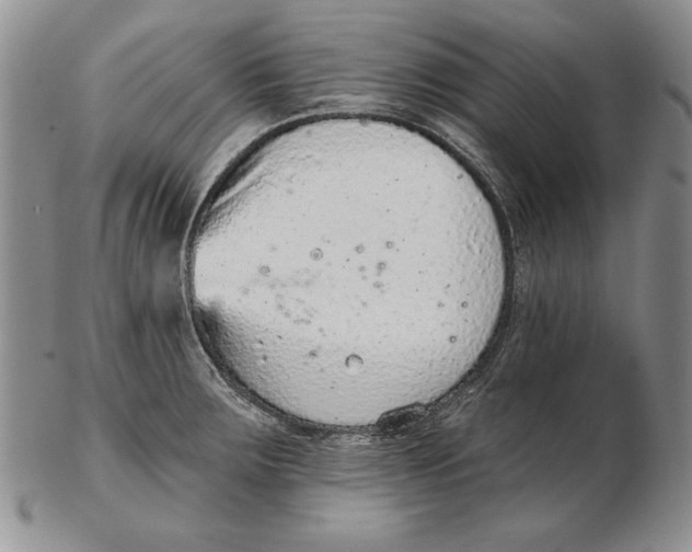 X0000102361283200808221707