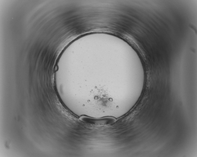 X0000102361284200808221707