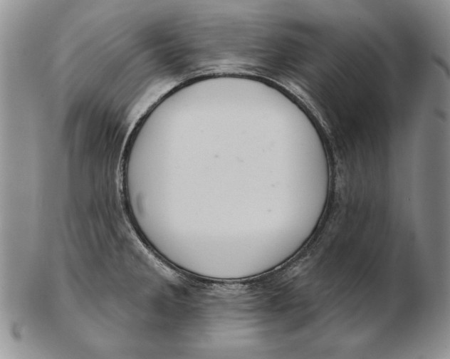 X0000102361285200808221707