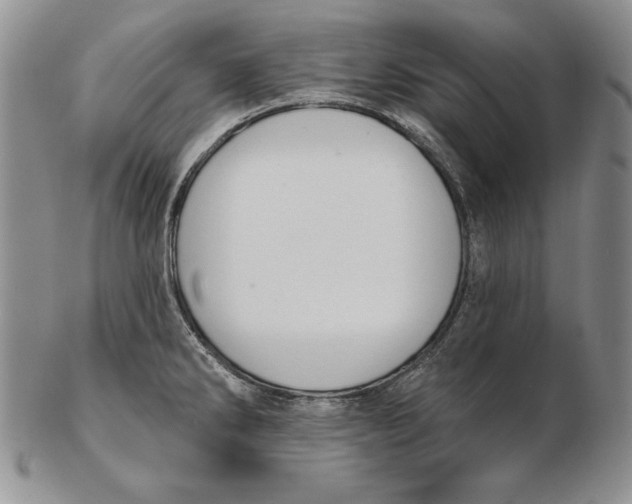 X0000102361286200808221707