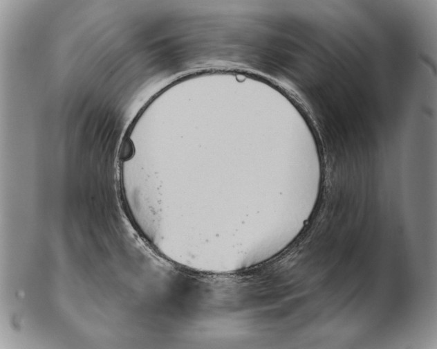 X0000102361287200808221707