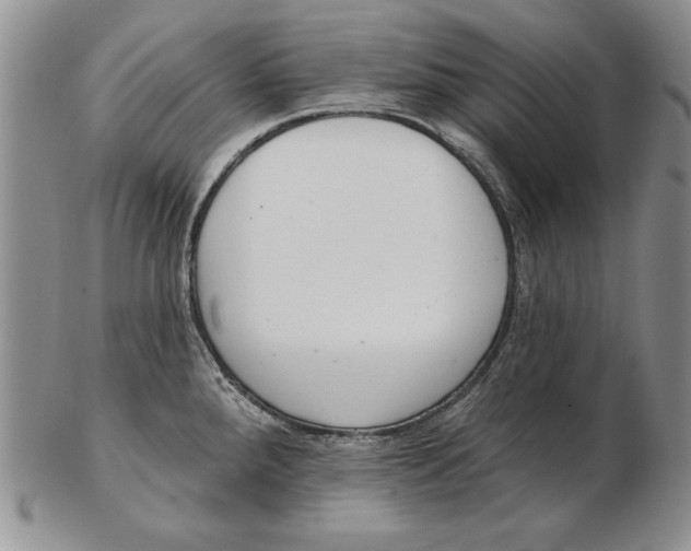 X0000102361288200808221707