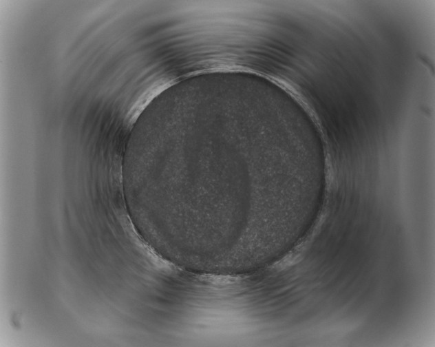 X0000102361289200808221707