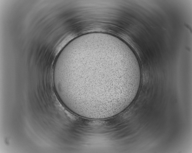 X0000102361290200808221707