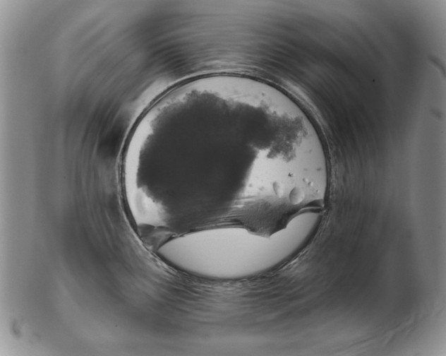 X0000102361291200808221707